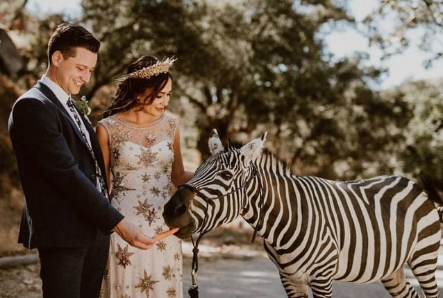 Bruidspaar met zebra
